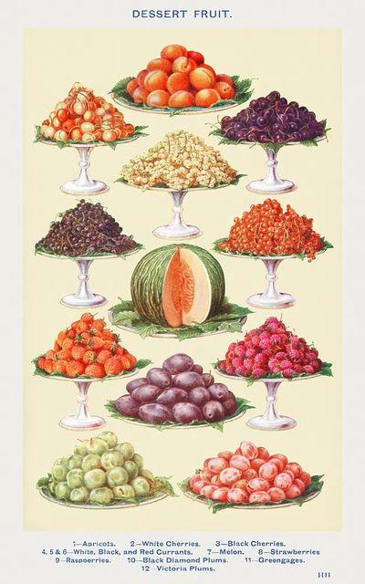 Dessert Fruit: Apricots, White Cherries. poster