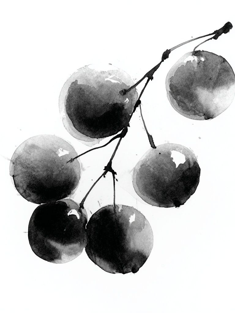 Watercolor Cherries Minimalist Print. poster — botanical art