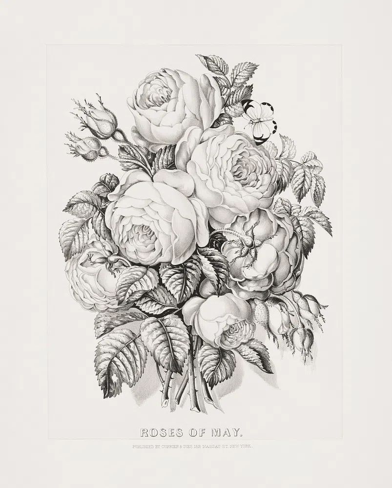 Rose May (1870) Currier &. poster detail