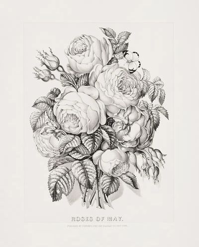 Rose May (1870) Currier &. poster print