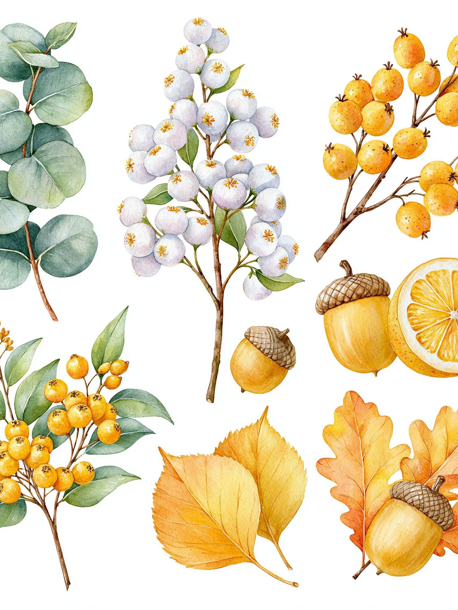 Autumn Botanical Watercolor Print. poster — botanical art