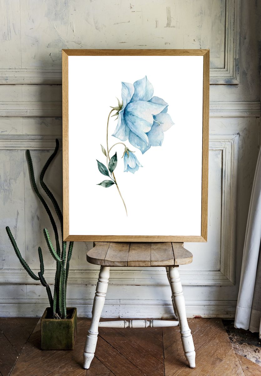 Blue Bellflower Watercolor Print. — room view 1