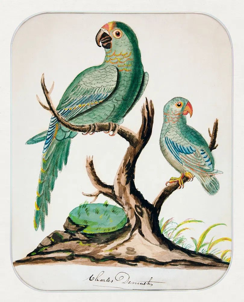 Two Parrots Barren Tree (ca.1916). poster detail