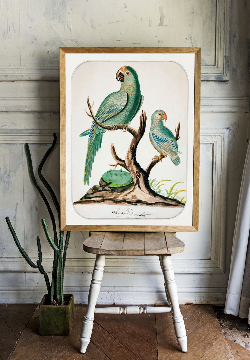 Two Parrots Barren Tree (ca.1916). — room view 1