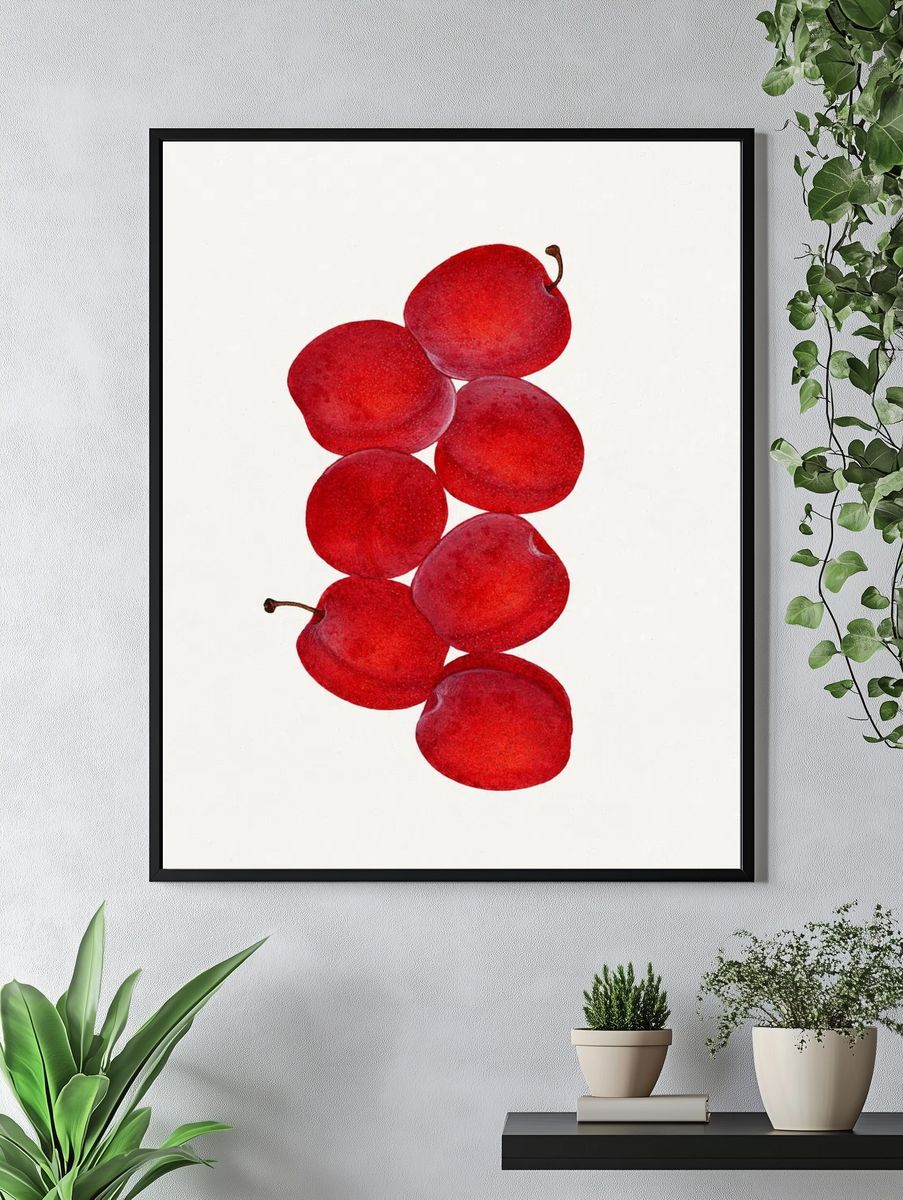 Vintage plums illustration. — room view 4