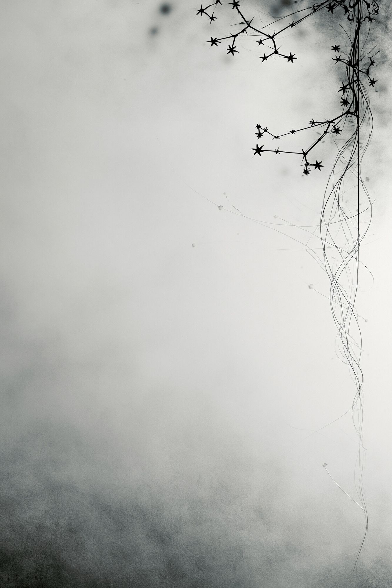 Celestial Ink Branch Poster. poster detail