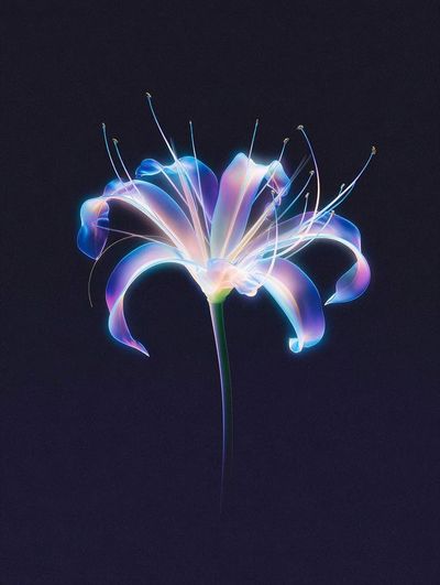 Neon Lily Bloom Print. poster print