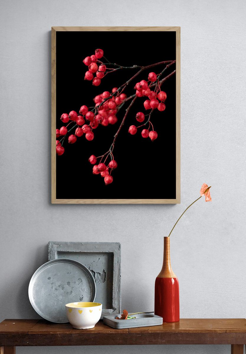 Red Berry Branch Botanical Print. — room view 3