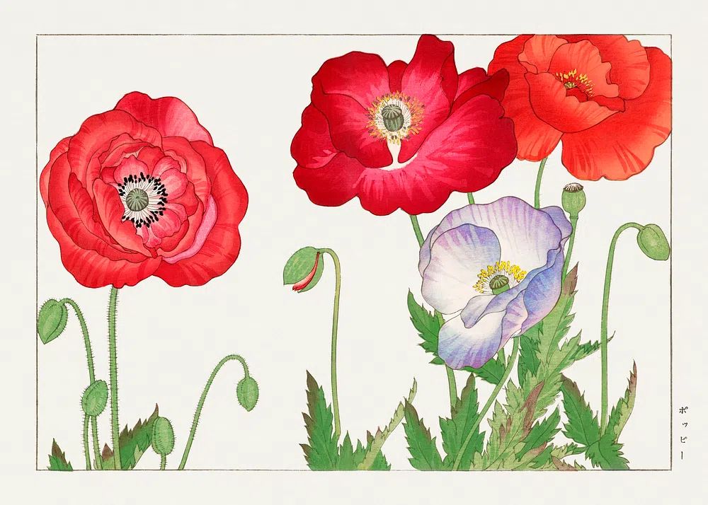 Vintage poppy flower, ukiyo e. poster detail
