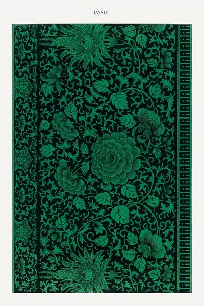 Flower illustration, Examples Chinese Ornament.