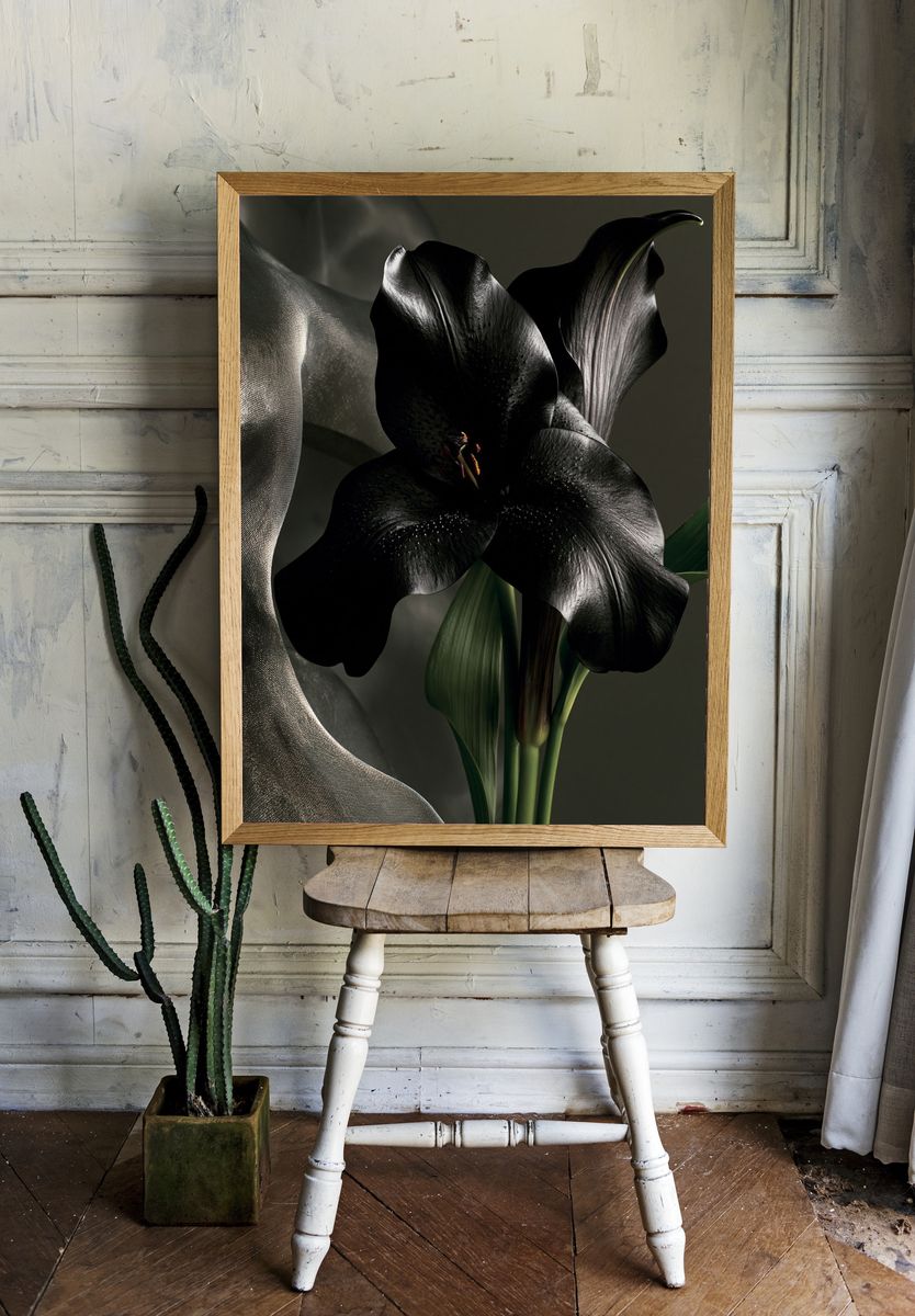 Black Calla Lily Botanical Print. room preview