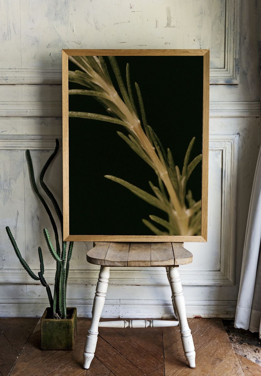 Rosemary Sprig Botanical Print. — room view 1