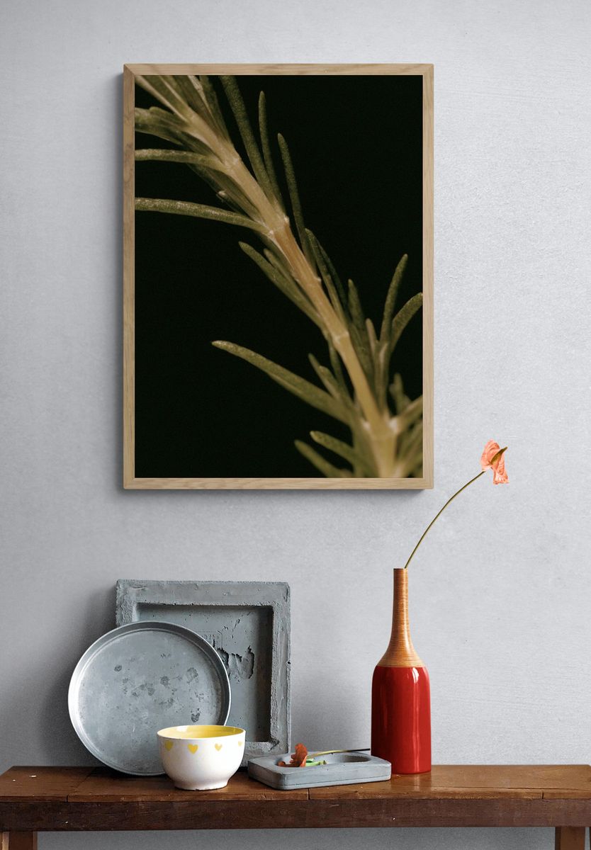 Rosemary Sprig Botanical Print. — room view 3