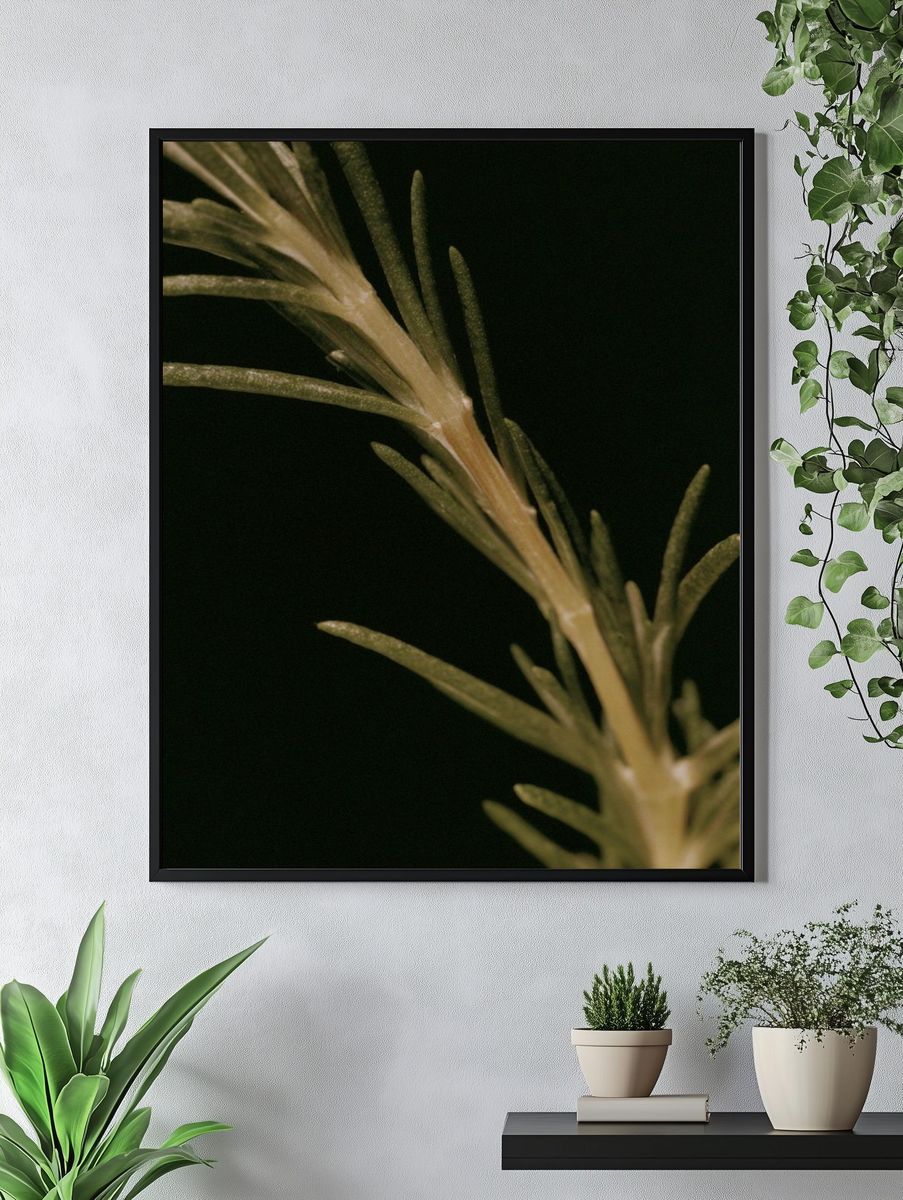 Rosemary Sprig Botanical Print. — room view 4