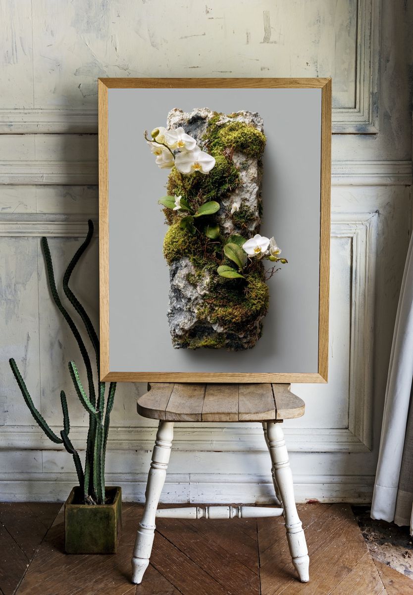 Mossy Orchid Stone Botanical Print. — room view 1