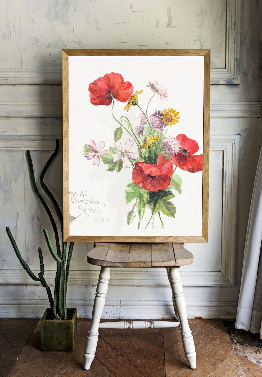 Poppy flowers, Terme di Caracallati. room preview