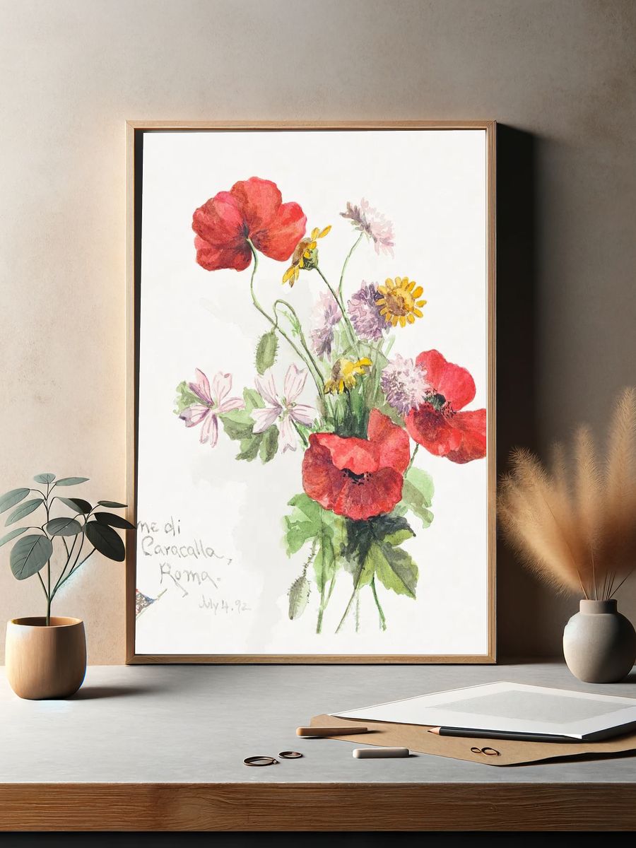 Poppy flowers, Terme di Caracallati. — room view 2