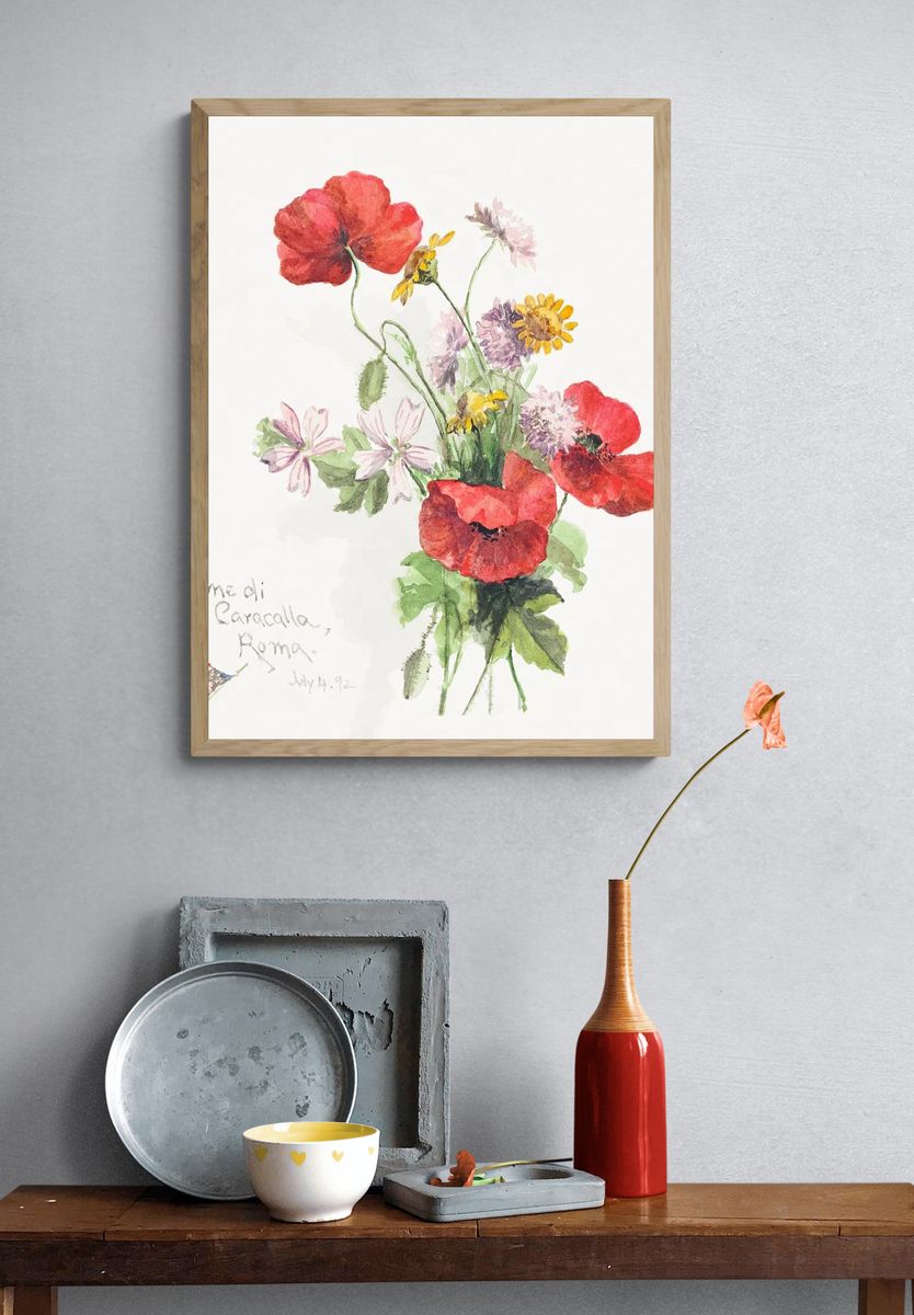 Poppy flowers, Terme di Caracallati. — room view 3