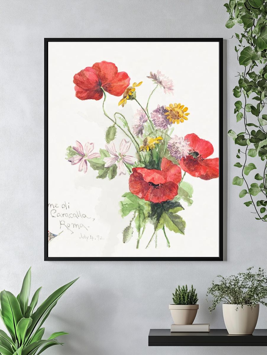 Poppy flowers, Terme di Caracallati. — room view 4
