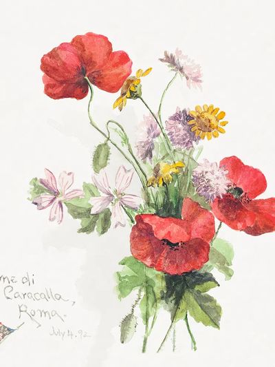 Poppy flowers, Terme di Caracallati. poster