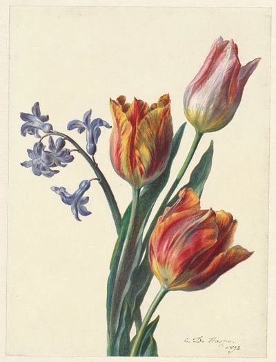Drie tulpen en een takje. poster