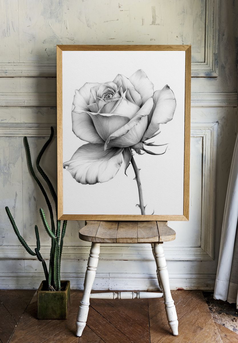 Single Rose Botanical Print. room preview