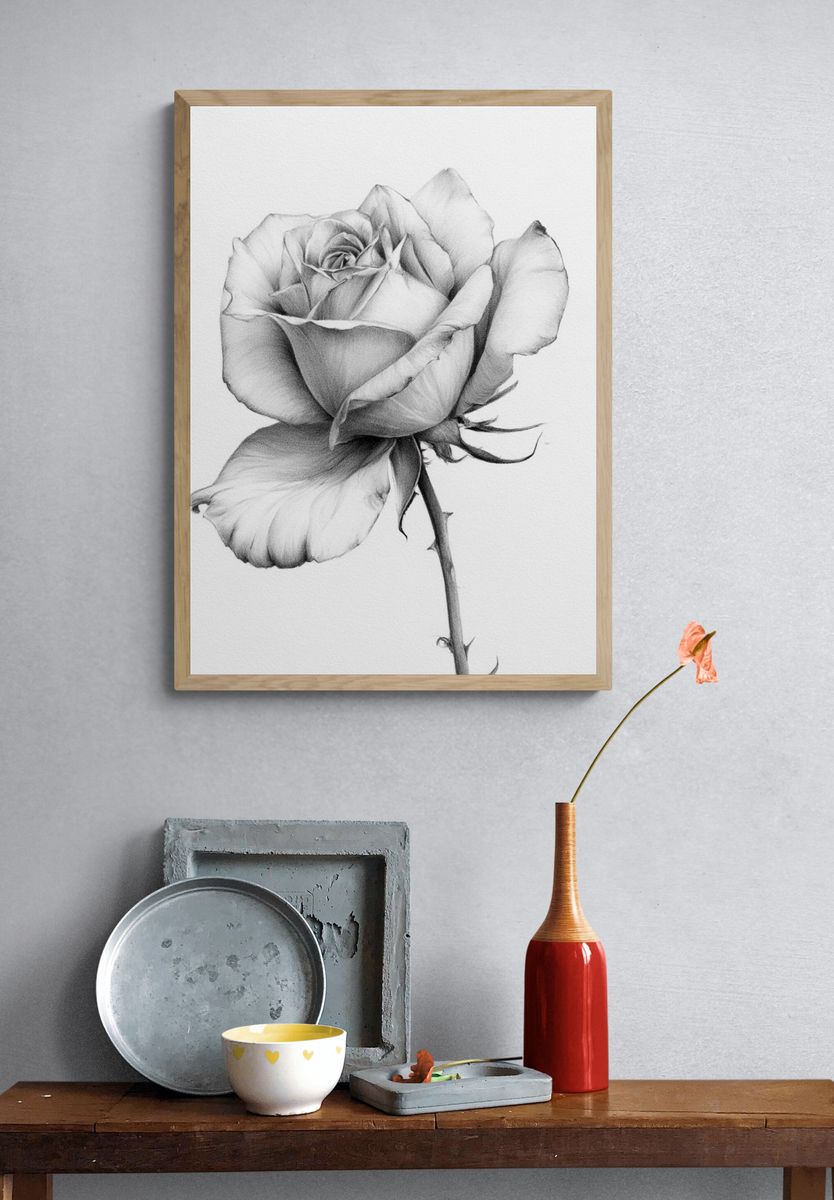 Single Rose Botanical Print. — room view 3