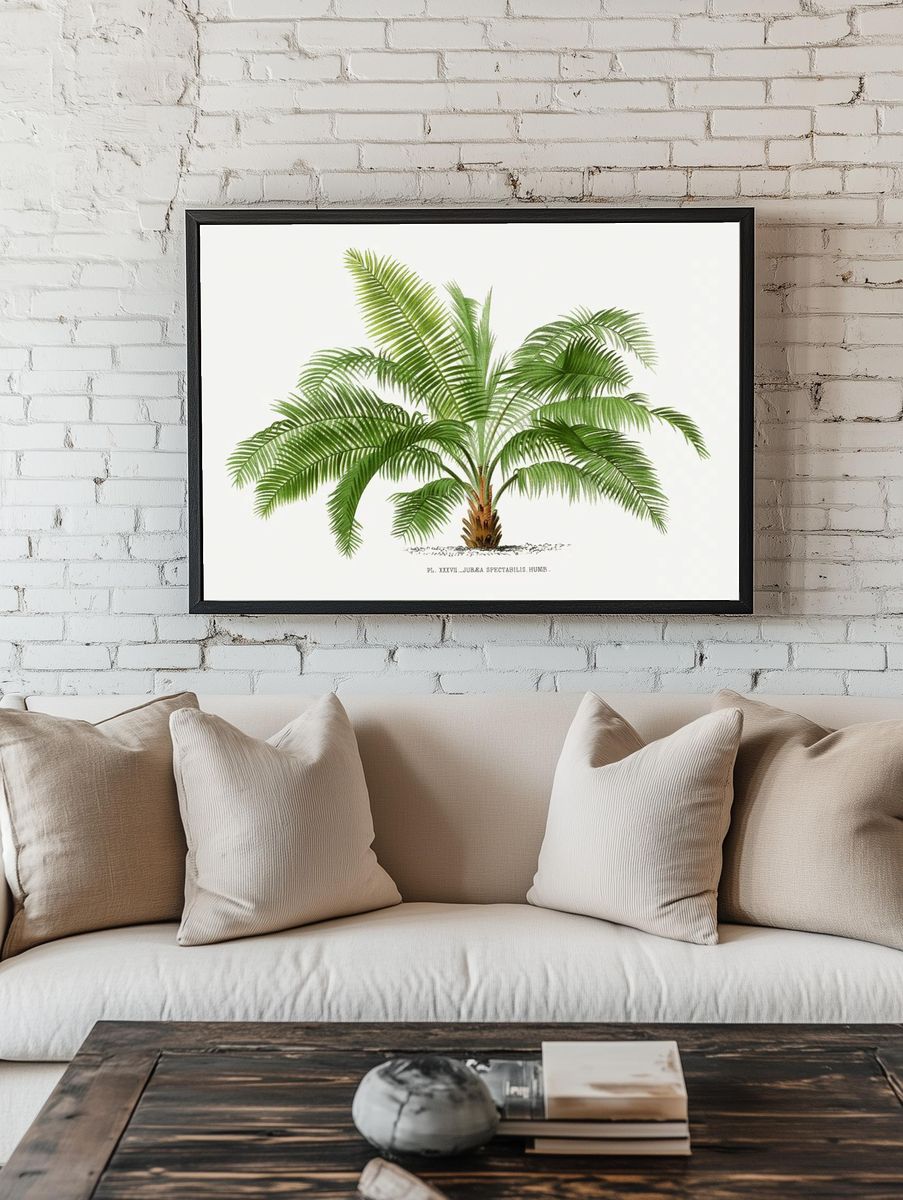 Vintage palm tree illustration. Digitally. room preview