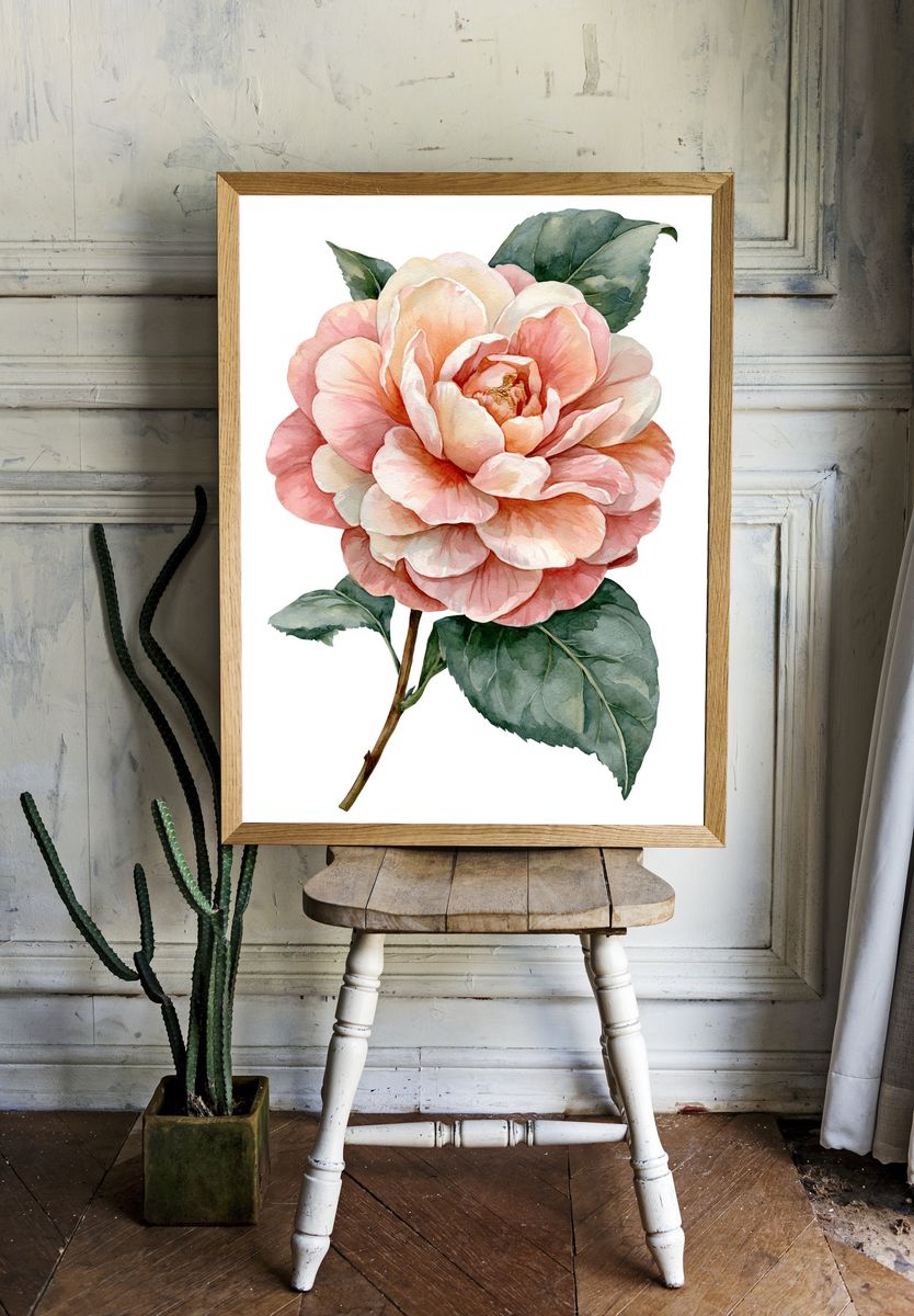 Pink Camellia Watercolor Poster. room preview