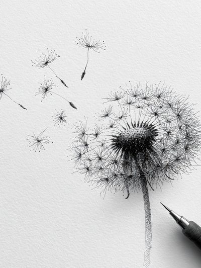 Dandelion Sketch Minimalist Print.