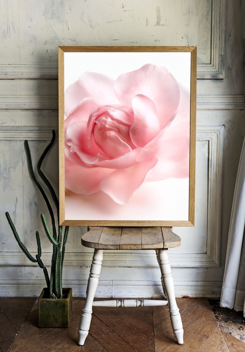 Blush Peony Botanical Print. room preview