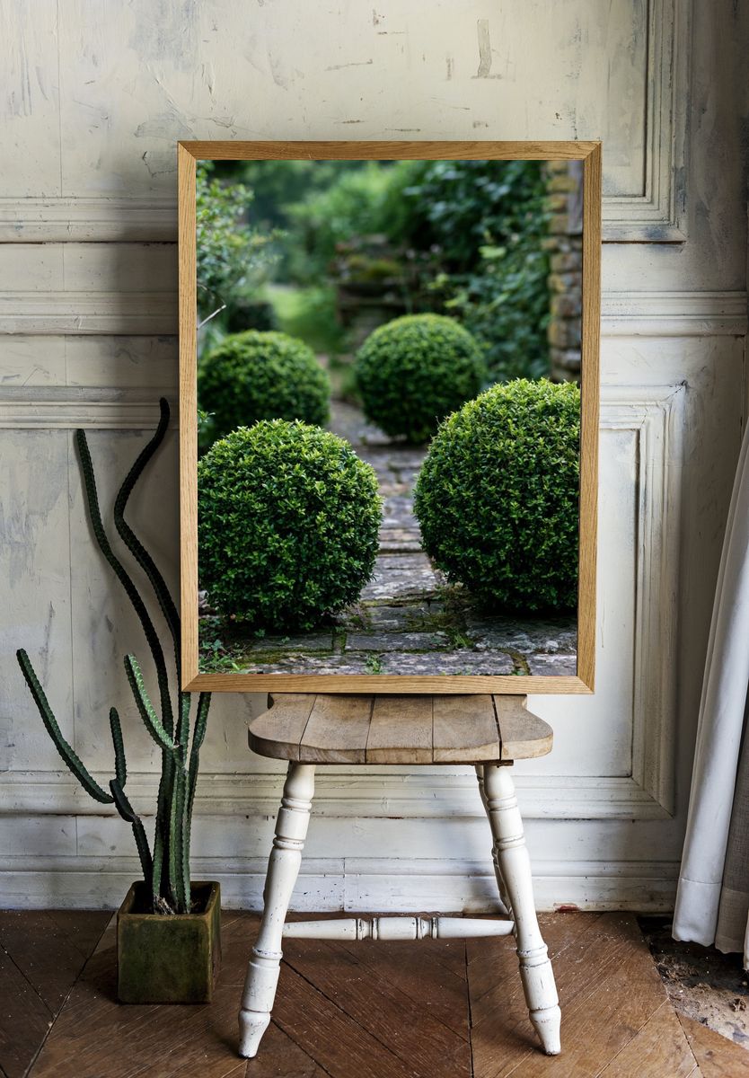 Boxwood Garden Path Poster. room preview