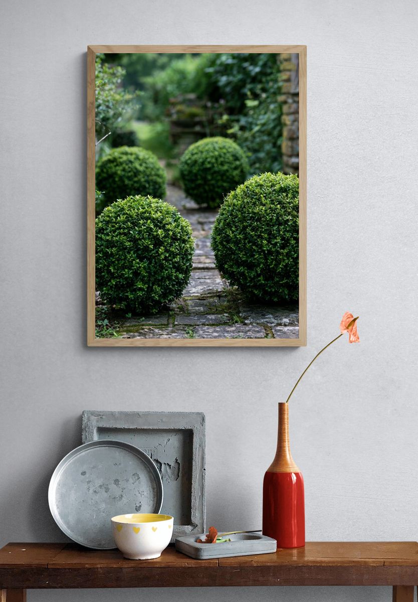 Boxwood Garden Path Poster. — room view 3
