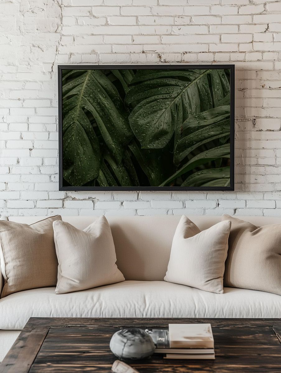 Wet Monstera deliciosa plant leaves. — room view 1