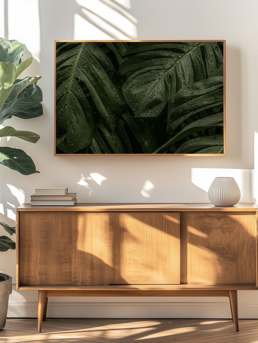Wet Monstera deliciosa plant leaves. — room view 3
