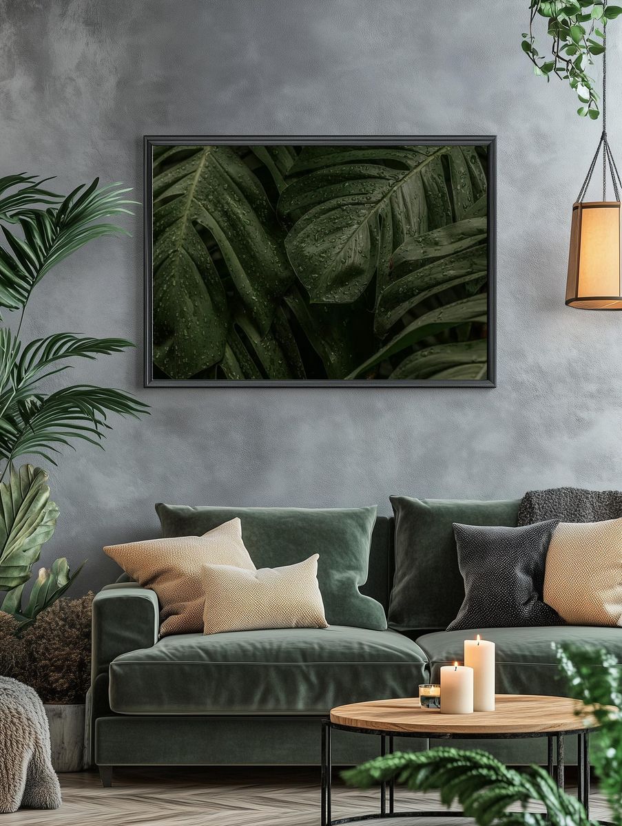 Wet Monstera deliciosa plant leaves. — room view 4