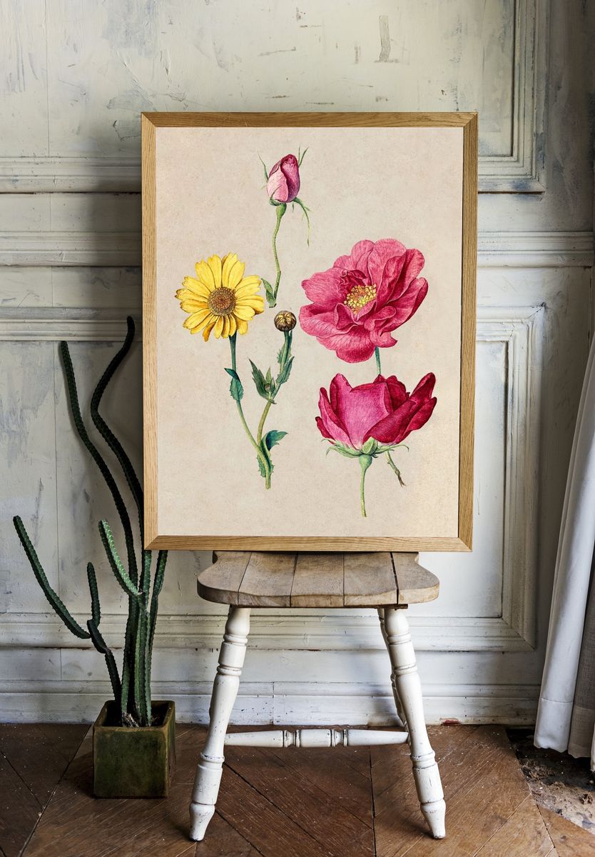 Sheet Studies French Roses Oxeye. — room view 1