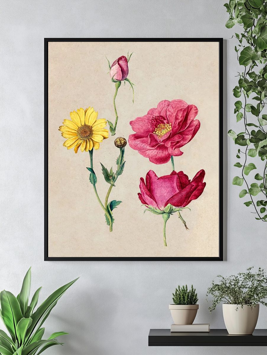 Sheet Studies French Roses Oxeye. — room view 4