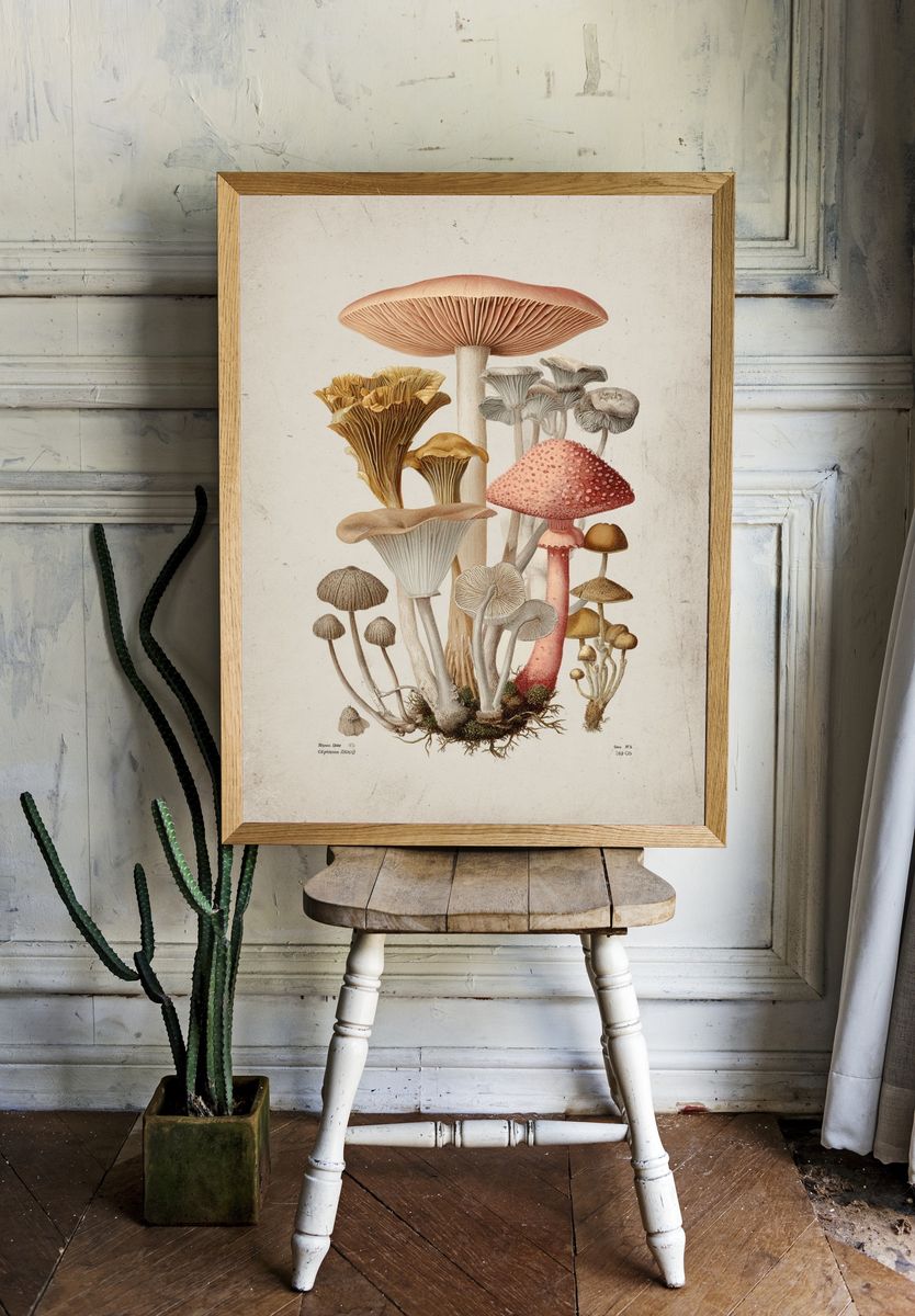 Mushroom Botanical Illustration Poster. — room view 1