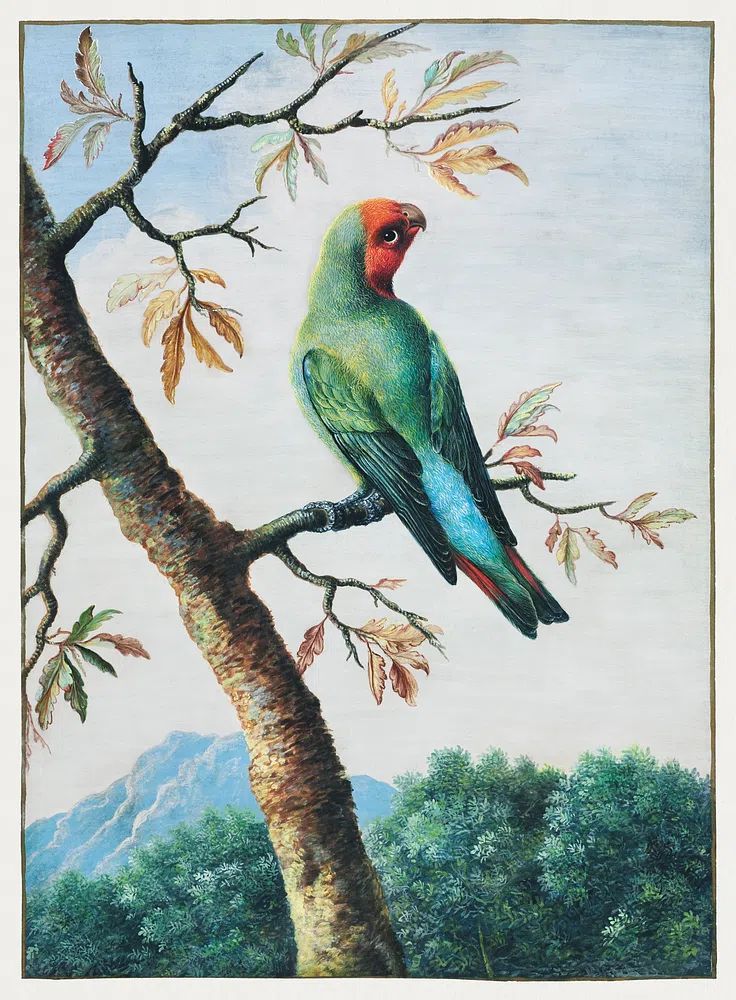 Bird Study painting high resolution. poster detail