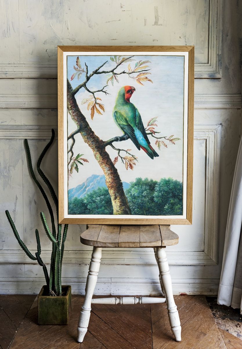 Bird Study painting high resolution. room preview