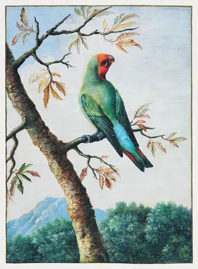 Bird Study painting high resolution. poster
