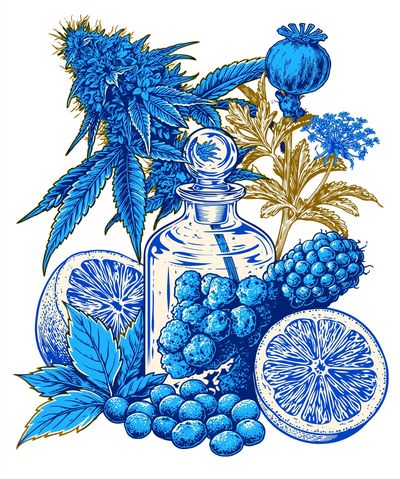 Blue Botanical Still Life Poster.