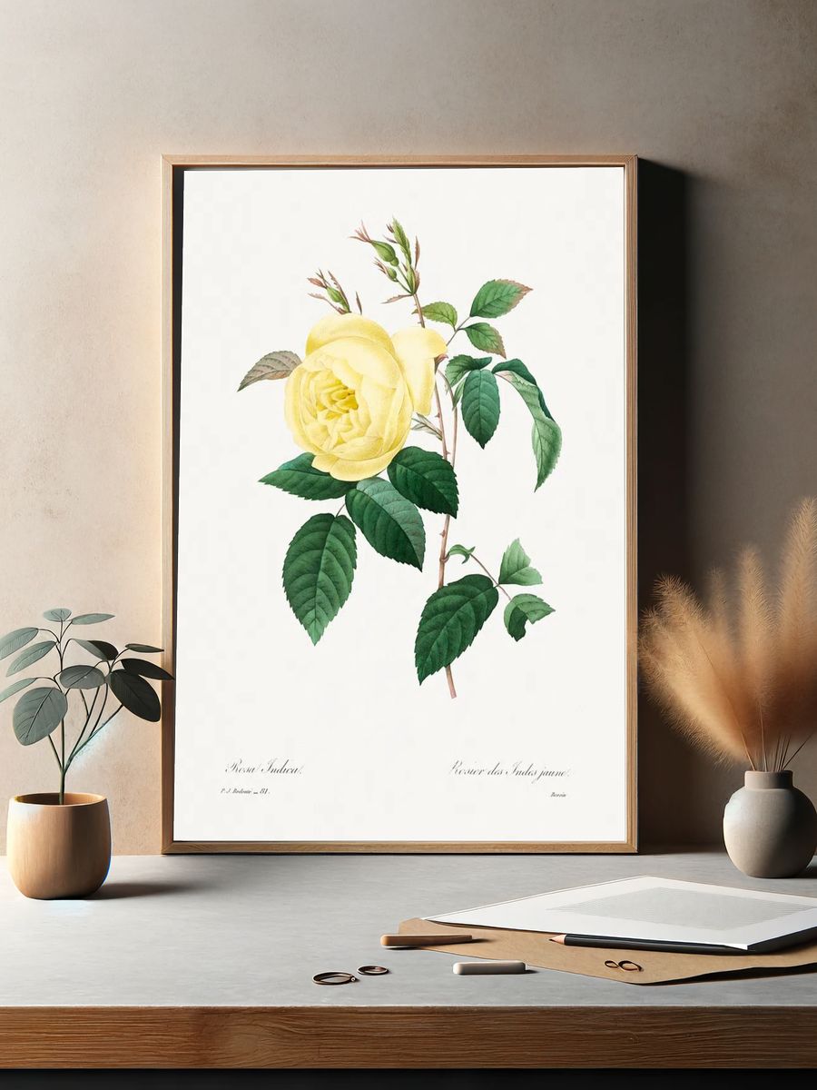Yellow Rose Pierre-Joseph Redouté (1759–1840). — room view 2