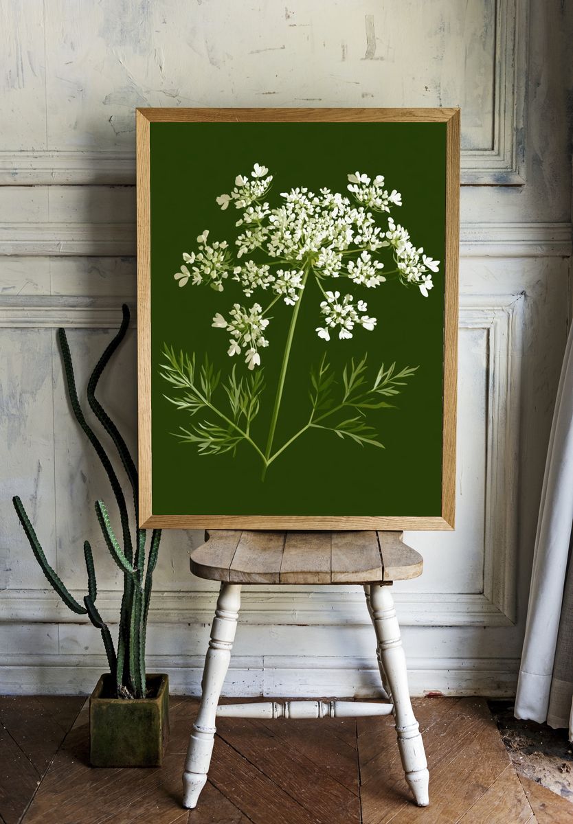 Queen Anne's Lace Botanical Print. room preview