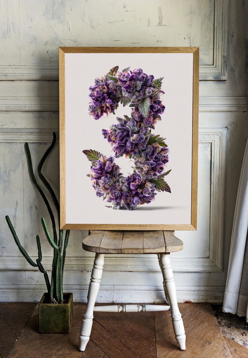 Purple Cannabis Letter C Poster. — room view 1
