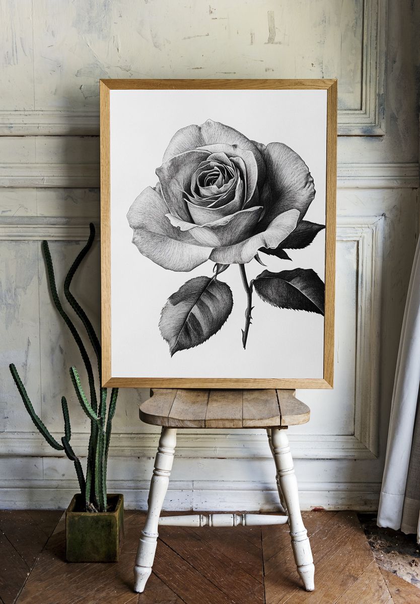 Black and White Rose Botanical Print. — room view 1
