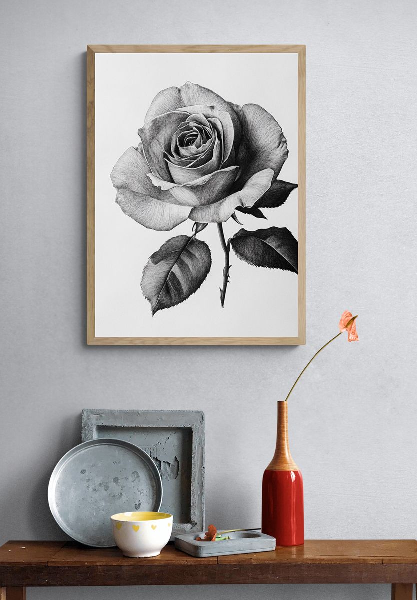 Black and White Rose Botanical Print. — room view 3