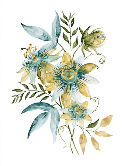 Blue Passionflower Botanical Poster.