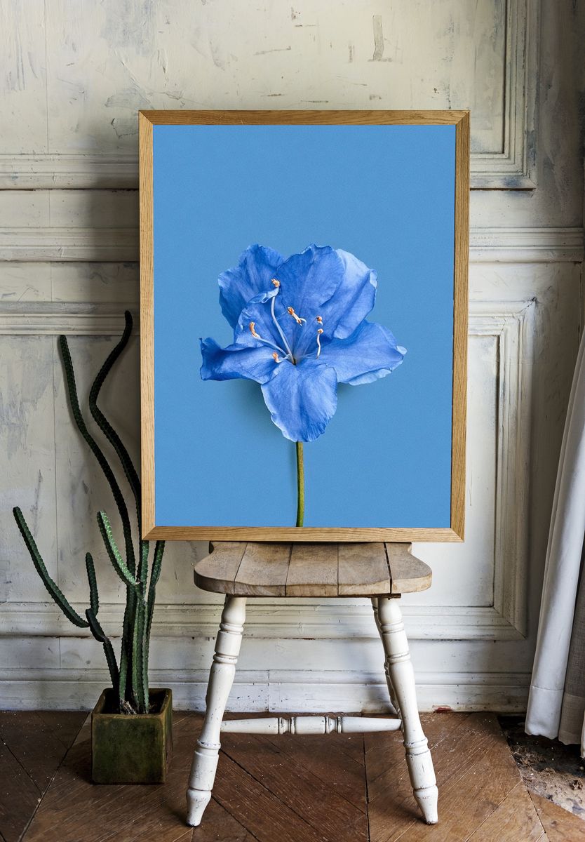 Blue Flower Minimalist Print. room preview
